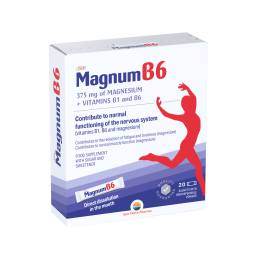 Magnum B6 x 20 plicuri