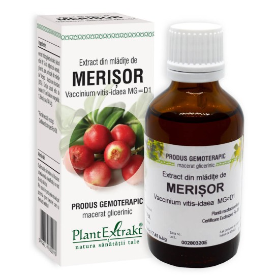 Extract din Mladite de Merisor x 50ml PLANTEXTRAKT